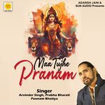 Maa Tujhe Pranam - Surendra Singh Song Download